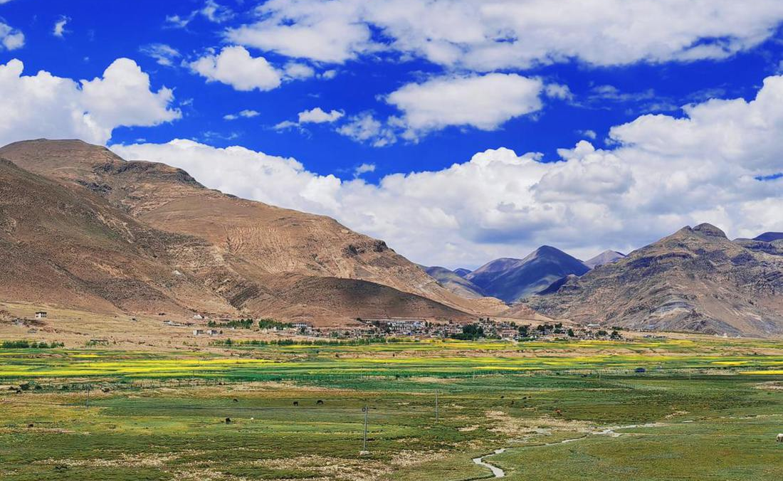 羌塘草原上的美好圖景。人民網(wǎng) 李海霞攝