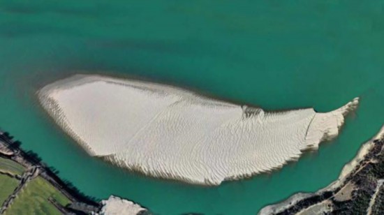 看！雅魯藏布江上有這樣一條“沙魚”