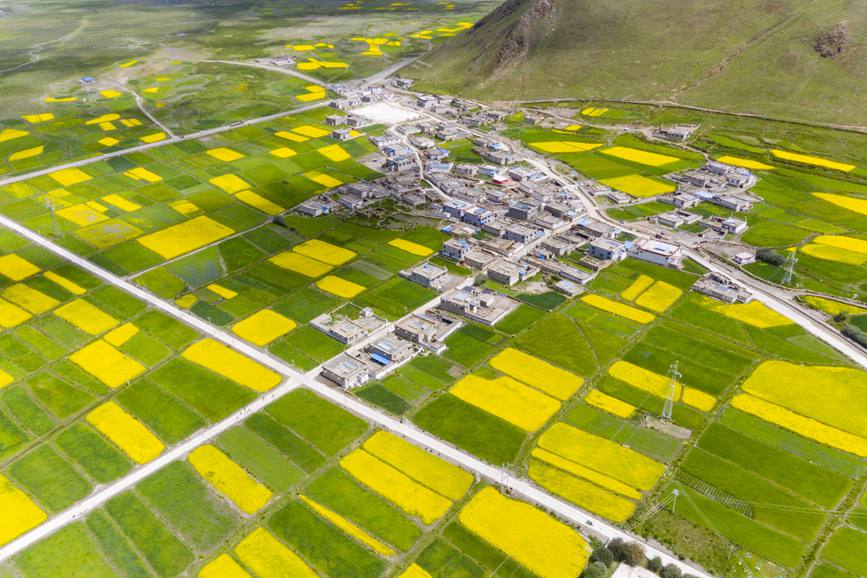 航拍道布龍村，依山傍水，阡陌縱橫。