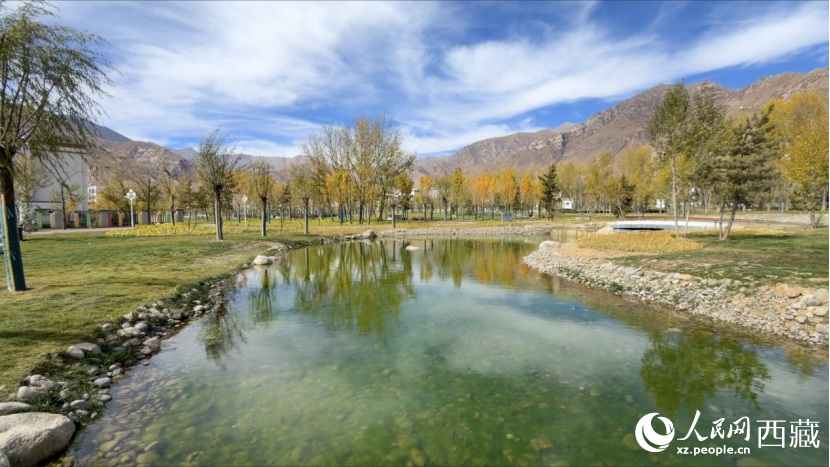 圖為青年林卡公園。人民網記者 次仁羅布攝