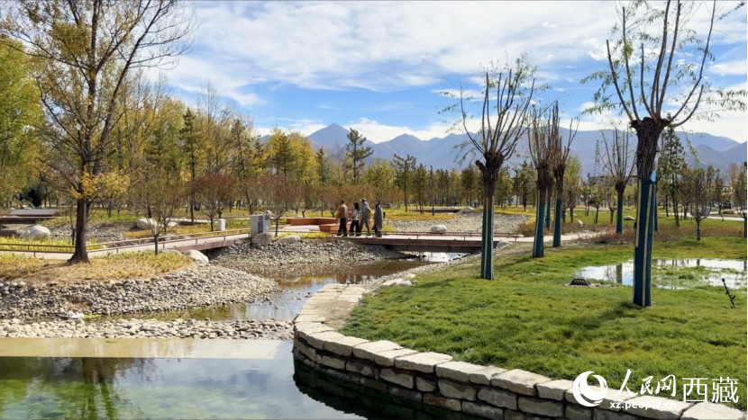 圖為青年林卡公園。人民網記者 次仁羅布攝