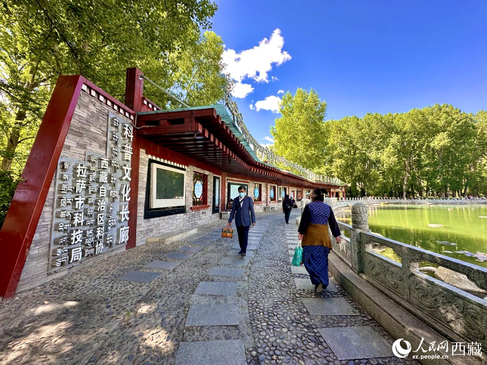 公園內(nèi)的科普文化長(zhǎng)廊。