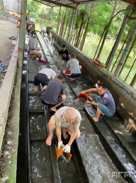 場(chǎng)面震撼！中國(guó)龍舟之鄉(xiāng)順德舉行起龍儀式