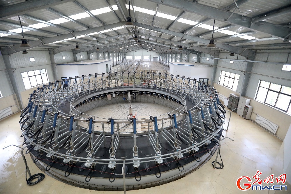 【幸?；ㄩ_(kāi)新邊疆】大力發(fā)展西藏隆子縣特色產(chǎn)業(yè) 堅(jiān)決打贏脫貧攻堅(jiān)戰(zhàn)