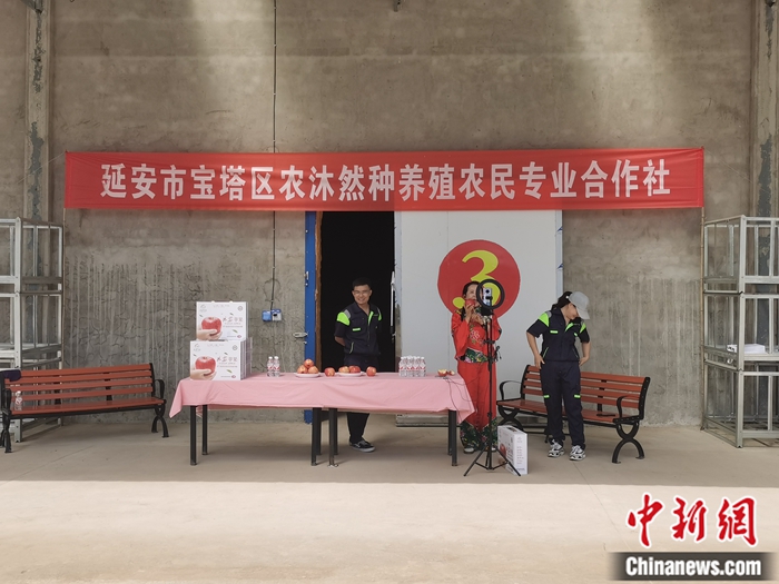 來(lái)源：柳林鎮(zhèn)果技園供圖。