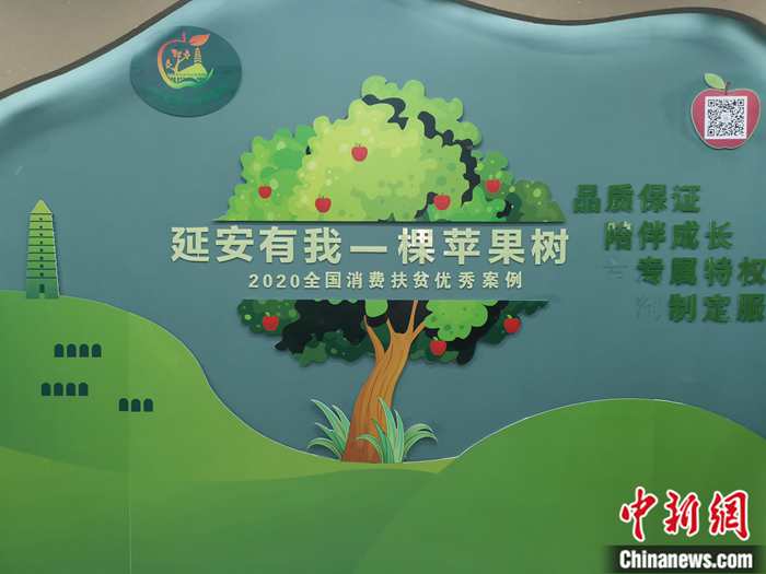 “延安有我一棵蘋果樹(shù)”。<a target='_blank'  ><p  align=