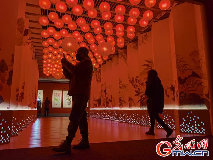 【新春走基層】視頻丨虎年看虎展！來國博感受虎文化