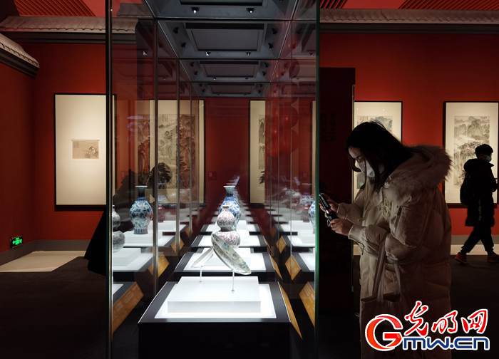 【新春走基層】視頻丨虎年看虎展！來國博感受虎文化