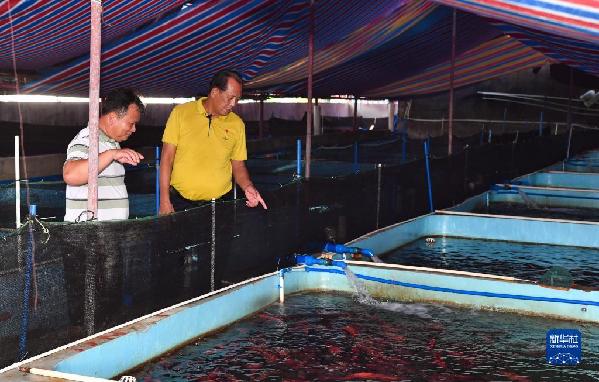 有聲手賬丨【我是一線(xiàn)黨代表 】王書(shū)茂：保護(hù)好“祖宗?！笔沁@輩子最大的心愿