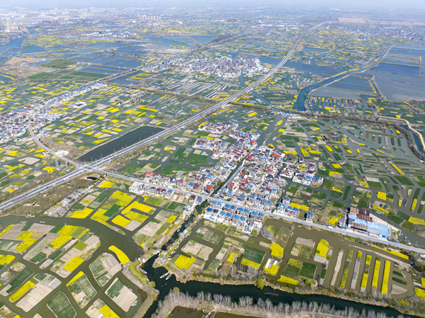 春天里的水鄉(xiāng)興化。周社根攝