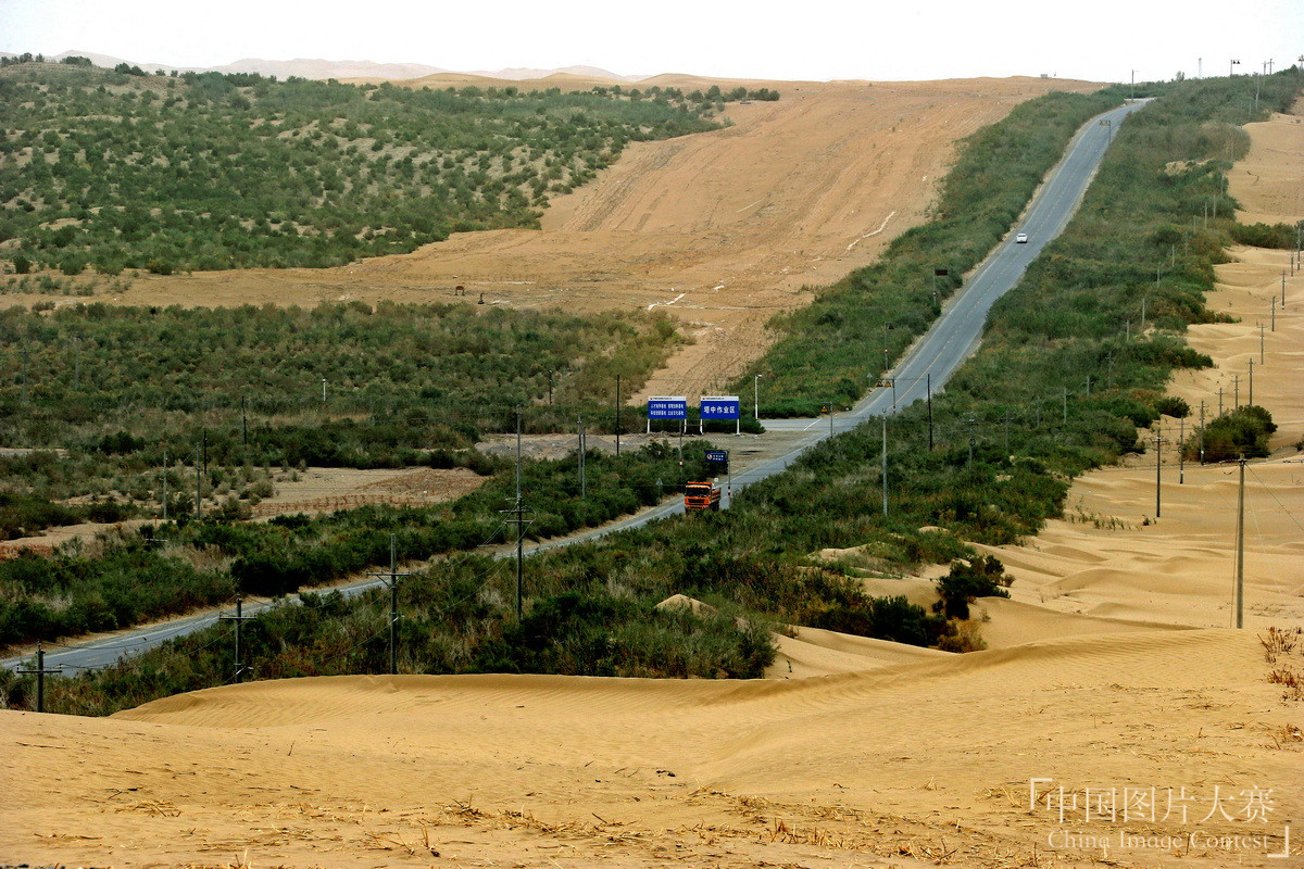 綠化大漠不是夢