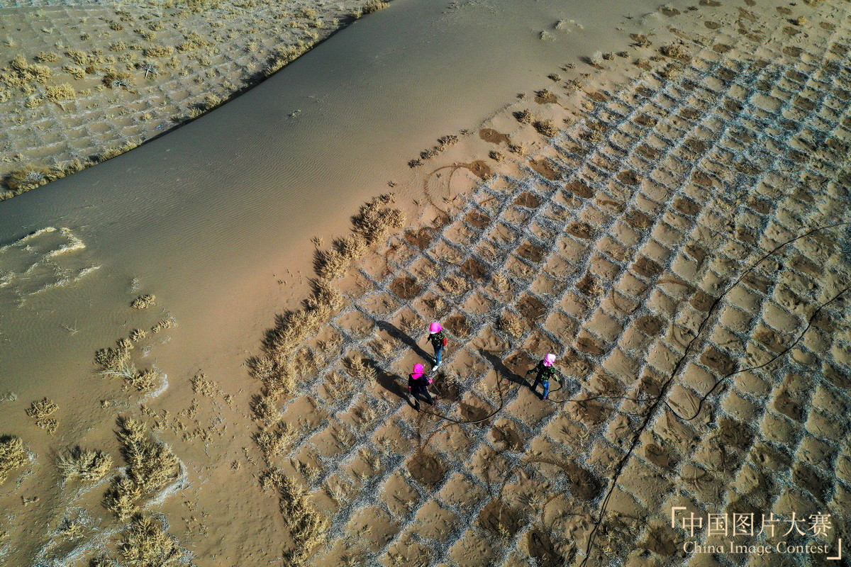 誓擋“黃龍” 綠富同興