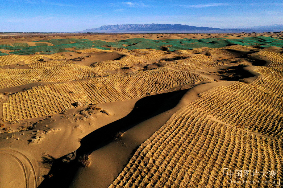 誓擋“黃龍” 綠富同興