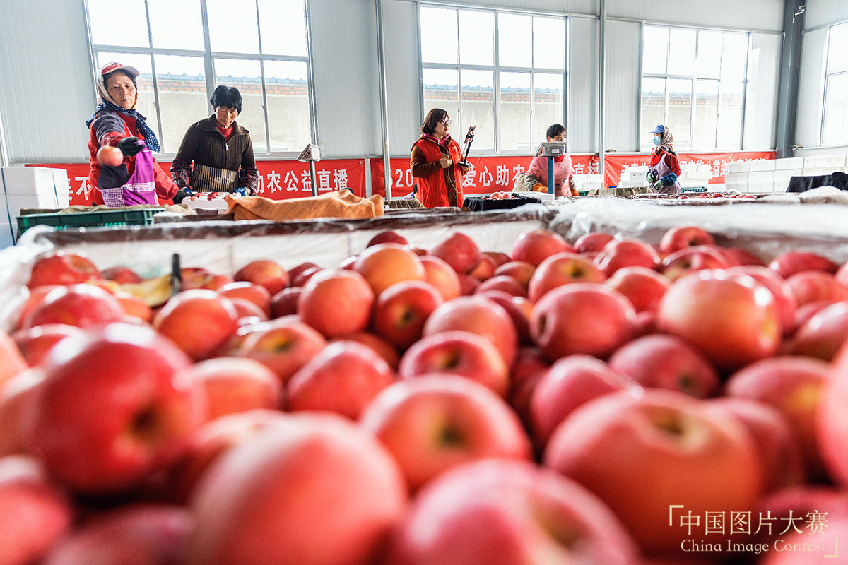 公益直播 愛(ài)心助農(nóng)致富路